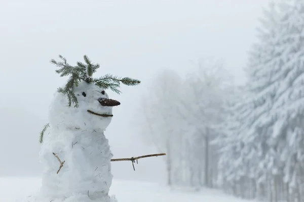 Pupazzo di neve in un campo nevoso. Figura del pupazzo di neve. Per fare un pupazzo di neve. Divertimento invernale e giochi. Natale e Capodanno festivo. — Foto Stock
