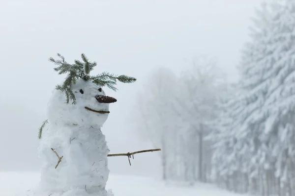 Snowman in a snowy field.Snow sculptures. Snowman Figure. To make a snowman. Winter fun and games. Christmas and New Year festive. — Stock Photo, Image