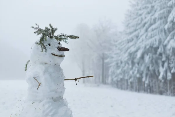 Hóember egy havas mezőn. Hó szobrok. Hóember figura. Hogy hóembert csináljon. Téli szórakozás és játékok. Karácsonyi és újévi ünnepség. Téli szezon — Stock Fotó