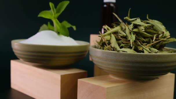 Kurutulmuş stevia yaprakları, stevia tozu ve stevia sıvısı özü. — Stok video