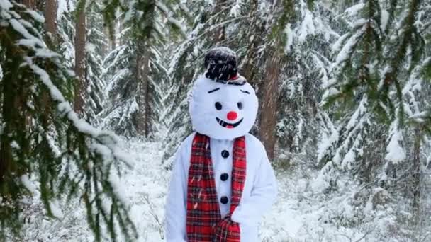 Snögubbe i rutig sjal i skog.Vintersemester .Glad snögubbe. — Stockvideo