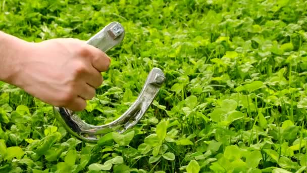 San Patricio. herradura en una mano de hombre sobre fondo de trébol verde. San Patricio fondo festivo. herradura de plata brillante. vacaciones de primavera tradicional irlandesa. — Vídeo de stock