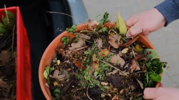 Compostagem verde.Balde marrom com composto vegetal nas mãos de um homem.Bio garbage.green composto com muitas plantas diferentes. — Vídeo de Stock