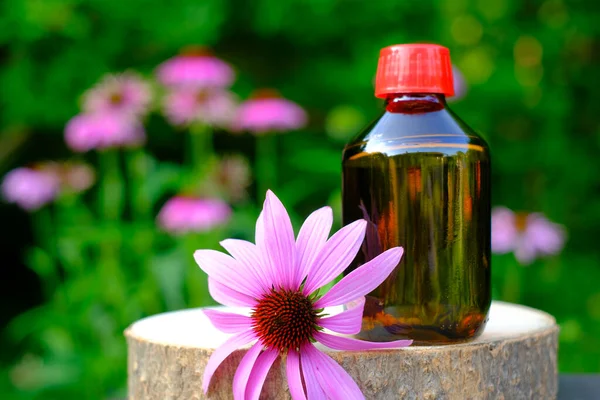 Настоянка ехінацеї. Трав'яні лікарські настойки. Скляна пляшка та квітка ехінацеї на садовому фоні. Натуральна медицина та альтернативна гомеопатія . — стокове фото