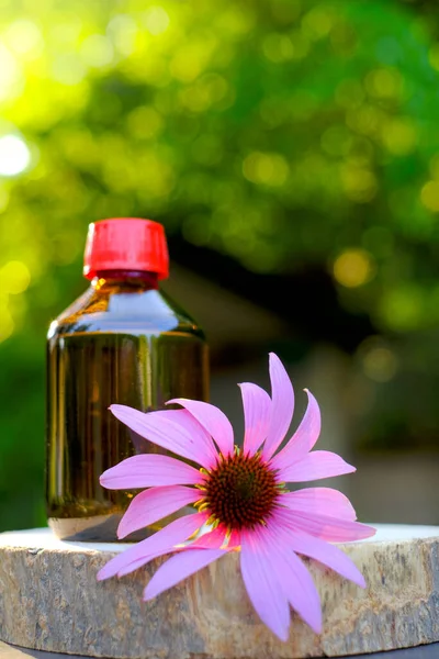 Настоянка ехінацеї. Скляна пляшка та квітка ехінацеї на садовому фоні. Натуральна традиційна медицина та альтернативна гомеопатія . — стокове фото