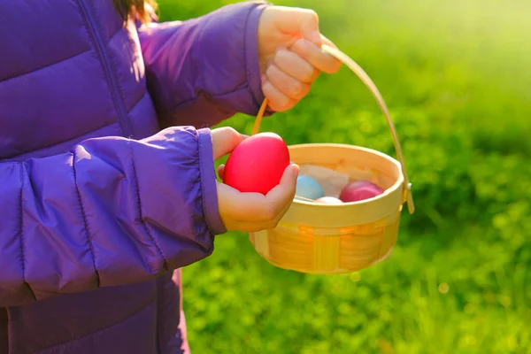 Охота на пасхальные яйца. Ребенок кладет яйца в корзину в весеннем саду. Пасхальная традиция. — стоковое фото
