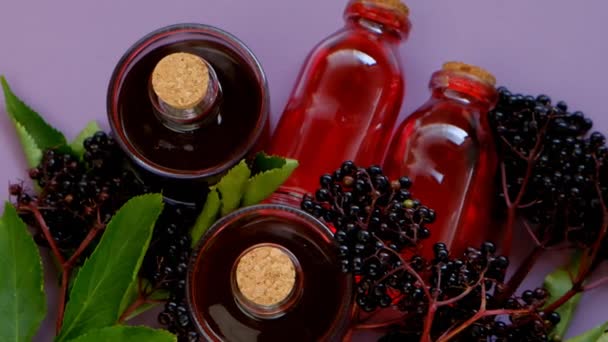 Jarabe de saúco jarabe de saúco rojo jarabe de saúco en una botella de vidrio y racimos de saúco sobre un fondo púrpura ramas de saúco. Cosecha de saúco — Vídeo de stock