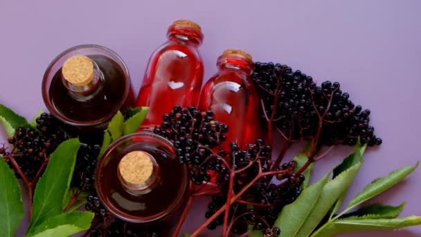 Sambucus syrup.red elderberry syrup in a glass bottles — Video