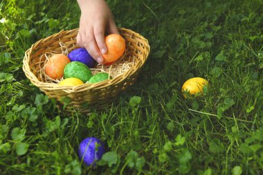 Easter Egg . Collecting Easter eggs. Child collects Easter eggs and puts in a basket in the spring garden.Colorful easter eggs. Religious holiday 