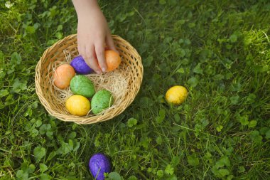 Easter Hunt. Collecting Easter eggs. Child collects eggs and puts in a basket in the spring garden.Colorful easter eggs. Religious holiday 