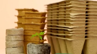 tomato seedling , Peat tablets and cups for seedlings. biodegradable natural planting material for growing natural vegetables .Growing seedlings. Planting material set on a light orange background