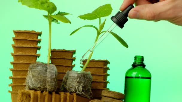 Fertilizante para mudas. Ativador do sistema radicular de plântulas em uma garrafa de vidro verde — Vídeo de Stock