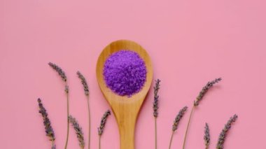 Lavanta tuzu. Ahşap kaşıkta lavanta özlü kozmetik leylak tuzu ve pembe arka planda lavanta çiçekleri. Lavanta özlü vücut için organik doğal kozmetik.