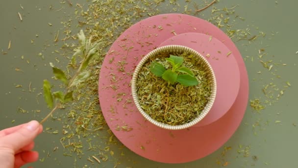 Stevia rebaudiana.View van bovenaf. Droge en verse stevia in een ronde kop op een roze sokkel. Stevioside zoetstof. Biologische natuurlijke caloriearme zoetstof — Stockvideo