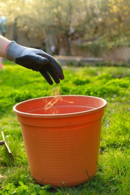  Bahar mevsiminde bahçede yaprak toplamak. Bahar bahçesini temizliyorum. Eldivenli eller geçen yıl bahar yapraklarını bahar yeşili arka planda bir kovada katlıyor.