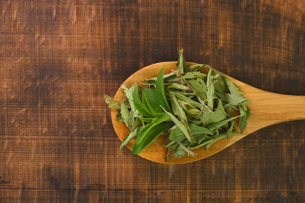 Stevia rebaudiana.Stevia green twig into in dry stevia leaves in a wooden spoon on a wooden background.Stevioside Sweetener.View from above.Organic natural low calorie sweetener. — Stock Photo, Image