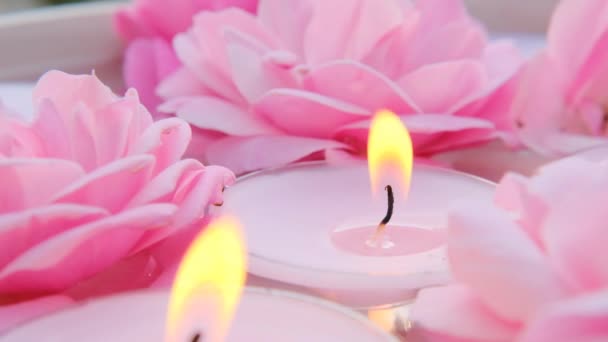 Rose svíčky.Aromaterapie a lázeňský koncept. Plamen svíčky.Růžové hořící svíčky a růžové růže ve vodě. Svíčky pozadí.Hořící svíčky set — Stock video