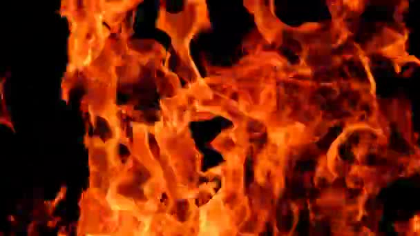 Pożar. Pożar. Płomienie na czarnym tle. Języki płomieni, iskry z bliska. — Wideo stockowe
