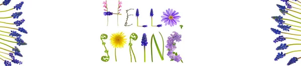 Hallo lente.Bloemen letters op witte achtergrond. Voorjaarsspandoek. Bloemenalfabet. Voorjaarstijd. — Stockfoto