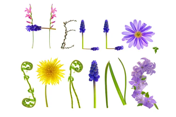 Bonjour printemps.Lettres florales isolées sur fond blanc. Bannière de printemps. Alphabet floral. Printemps. — Photo