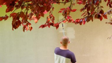 Duvar boyama. İnşaat, onarım ve ev boyama. Bir adam evde bir silindirle duvar boyuyor. Güneşli bir yaz gününde evin duvarlarını bej rengine boyuyor..