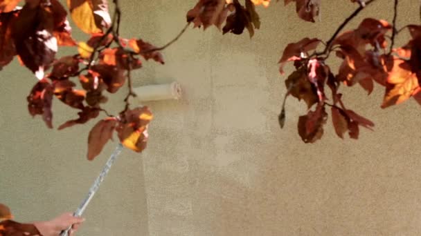 Maschio mani dipingere le pareti della casa in beige con un roller.Repair lavoro a home.wall painting.Home ristrutturazione outside.Building, la riparazione e la pittura di un concetto di casa. — Video Stock