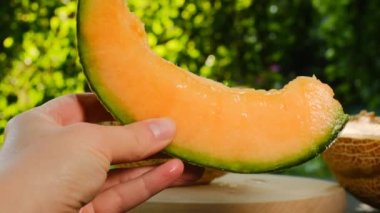 Kavun. Olgun kavun parçası. İştah açıcı yaz meyveleri. Olgun sarı kavun