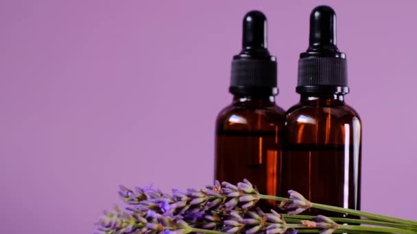 Ätherisches Lavendelöl. Essenz mit Lavendelduft. Aromatherapie und Massage — Stockvideo