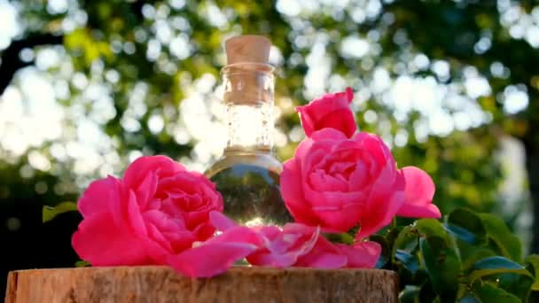 Olejek eteryczny różany w butelce w różanych kwiatach na drewnianej pile przeciętej w ogrodzie letnim w słońcu.Aromaterapia i kosmetyki koncept.Organiczny naturalny olejek różany. — Wideo stockowe