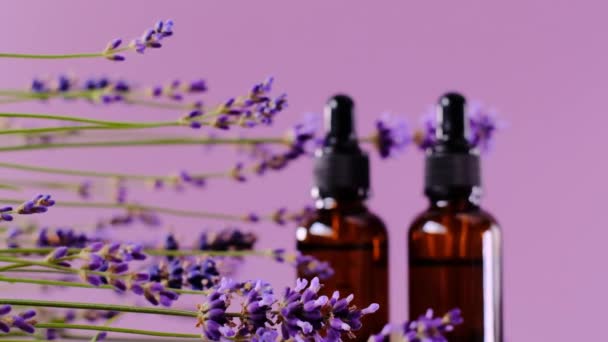 Minyak esensial dan bunga lavender pada latar belakang ungu. Esensi dengan aroma lavender. Aromaterapi dan pijat. Kosmetik dengan ekstrak lavender — Stok Video
