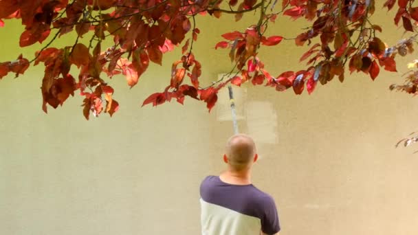 Peinture murale.Un homme peint un mur à la maison avec un rouleau — Video