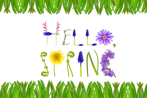 Hallo lente.Bloemen letters en groen gras frame geïsoleerd op witte achtergrond. Voorjaarsspandoek. Bloemenalfabet. Voorjaarstijd. voorjaarsseizoen — Stockfoto