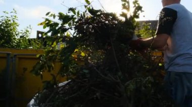 Yeşil kompostacı. Adamın biri çöp tenekesine dal atıyor. Biyolojik çöp.