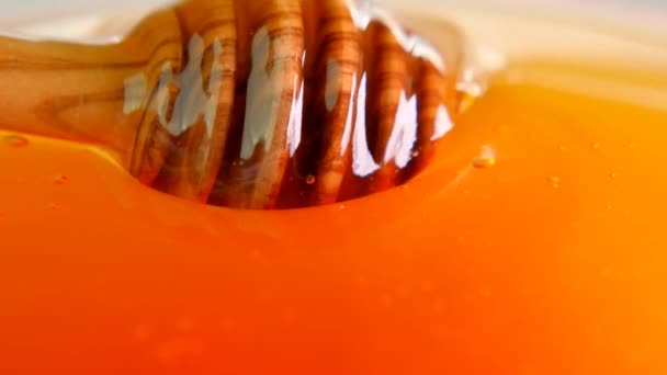 유리 컵에 꿀 디퍼를 넣고 자연 양봉으로 꿀을 클로즈업 한 텍스처를 만듭니다. 천연적 인 바이오 양봉 생산 - 느린 동작 . 디저트의 치료. — 비디오