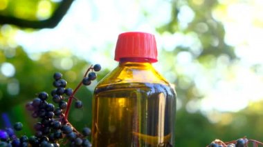 Mürver şurubu. Mürver hasadı. Cam bir şişede Sambucus şurubu ve bahçede bir yığın mürver ağacı. Yeşil eczane ve homeopati. Sambucus şubeleri. Olgun siyah mürver..
