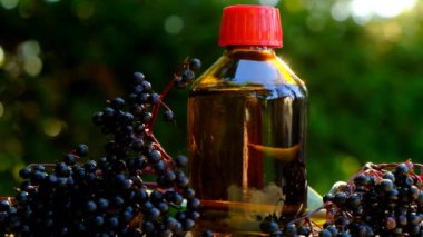 Mürver şurubu. Şişede Sambucus şurubu ve yaz bahçesinde bir yığın mürver şurubu. Yeşil eczane ve homeopati. Sambucus şubeleri. Olgun siyah mürver. Mürver hasadı