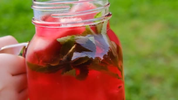 Wassermelonen-Cocktail mit Stevia in Kinderhand. Roter Cocktail aus Wassermelone, Eis und Stevia auf grünem, verschwommenem Gartenhintergrund.Kalorienarmes Diätgetränk mit natürlichem Süßstoff — Stockvideo