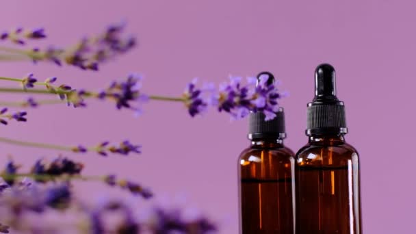 Etherische olie en bloemen van lavendel. Aromatherapie en massage. Essentie met lavendelgeur. Cosmetica met lavendelextract — Stockvideo