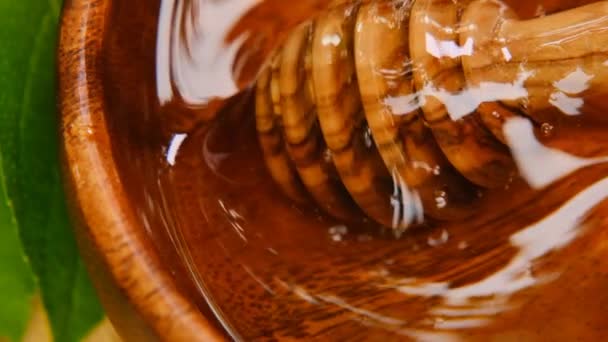 Mel da flor em uma xícara de madeira e em flores brancas do hydrangea. Produtos frescos de verão honey.beekeeping. Sobremesa de cura. — Vídeo de Stock