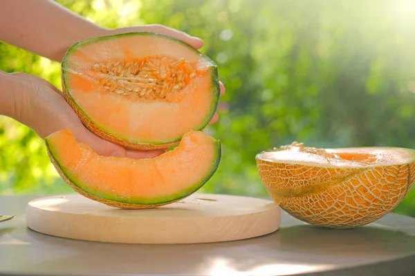 Melon.piece of ripe melon.Melon in a cut in female hands. summer fruits. Womens hands cut a melon in a summer garden.