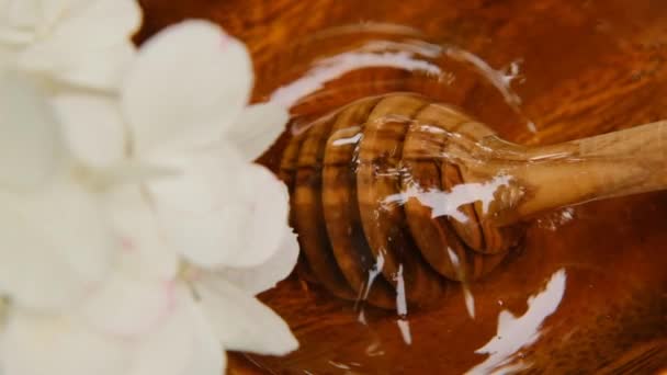 Bloemhoning en witte hortensia bloemen.Biologische verse honing.. bijenteelt producten. Genees dessert. — Stockvideo