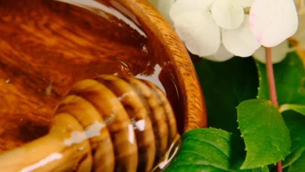 Miel de flor y flores de hortensia blanco.Ecológica miel fresca. Productos frescos de miel de verano.apicultura. Postre curativo. — Vídeo de stock