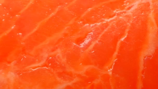 Um pedaço de peixe de salmão. Peixe vermelho fresco. Peixe textura vermelha close-up. Frutos do mar e peixe. Nutrição proteica. Fonte de ácidos gordos ómega-3. Dieta saudável — Vídeo de Stock