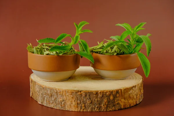 Stevia rebaudiana.Κλαδί Στέβια σε καφέ φλιτζάνι σε ξύλινο πριόνι κομμένο σε καφέ φόντο.Οργανικό γλυκαντικό. Διαιτητικό γλυκαντικό — Φωτογραφία Αρχείου