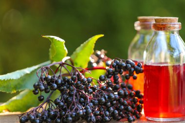 Mürver şurubu. Cam bir şişede Sambucus şurubu ve bahçedeki ahşap bir masada meyveler. Yeşil eczane ve homeopati.. 