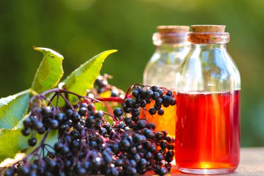 Mürver şurubu. Şişe içinde Sambucus şurubu ve güneş altındaki ahşap bir masada bir demet mürver şurubu. Yeşil eczane ve homeopati. Tatlı, sağlıklı, yaşlı böğürtleni şurubu.. 