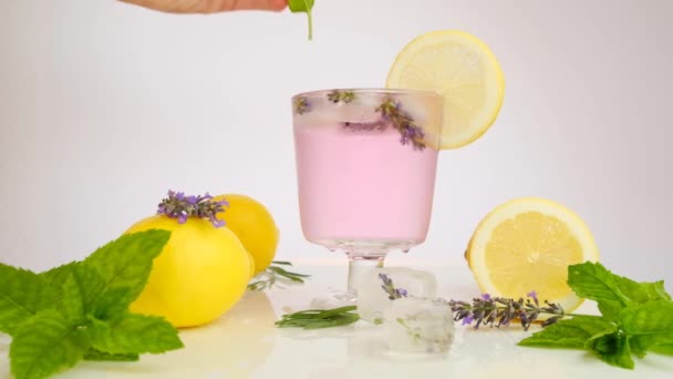 Lavanta kokteyli. Bir el kokteyl bardağına nane şekeri koyar. Lavantalı limon. Mor kokteyl, buz, limon ve lavanta çiçeği. Ferahlatıcı yaz kokteylleri, içkiler. yavaş çekim. — Stok video