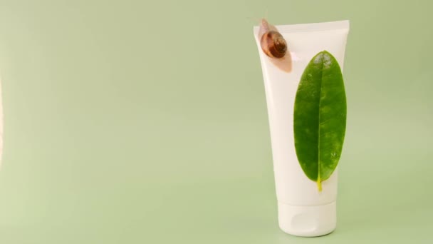 Caracol slime.Snail em um tubo branco e uma folha verde em um fundo verde. Mucin.Snail extract.Cosmetic tubo — Vídeo de Stock