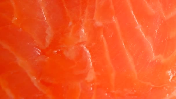 Peixe de salmão. Peixe vermelho fresco. Peixe de textura vermelha close-up. Frutos do mar e peixe. — Vídeo de Stock
