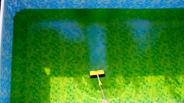 Czyszczenie basenu. Czyszczenie letniego basenu z zielonych alg. — Wideo stockowe